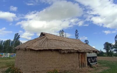 Denuncian a Escuela Anselmo Tapia Loyola de Longaví por intentar cerrar la asignatura de Mapuzungun