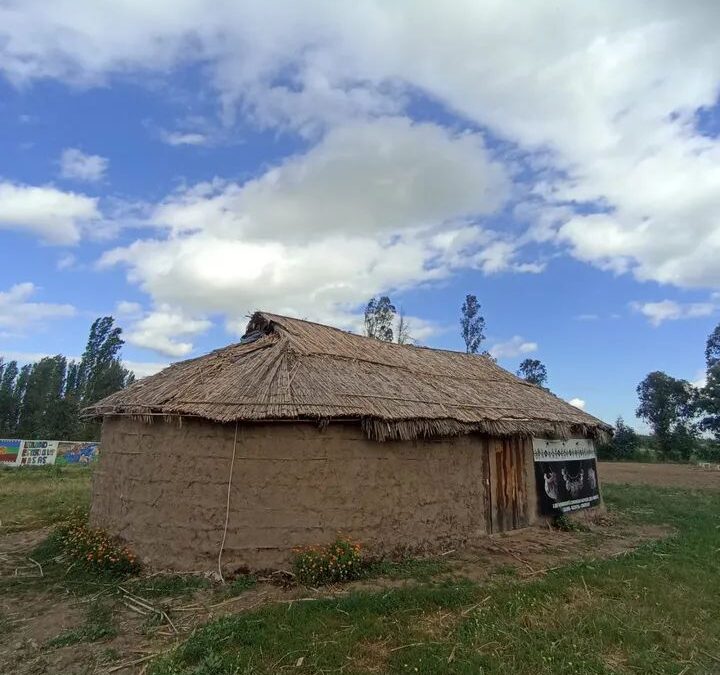 Denuncian a Escuela Anselmo Tapia Loyola de Longaví por intentar cerrar la asignatura de Mapuzungun
