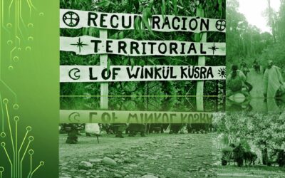 A  6 meses de los allamientos en el Lof Winkül Küsra, tribunal de Garantía  de Osorno se niega a devolver a la comunidad computadores y celulares  incautados