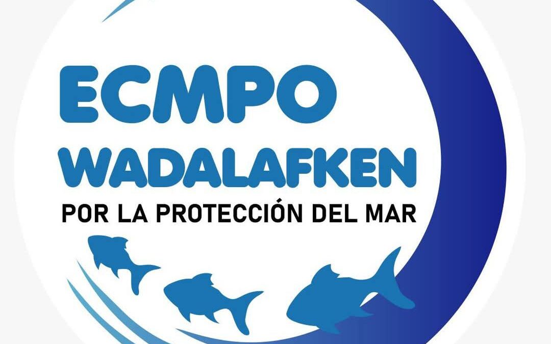 Comunicado público ECMPO Wadalafken