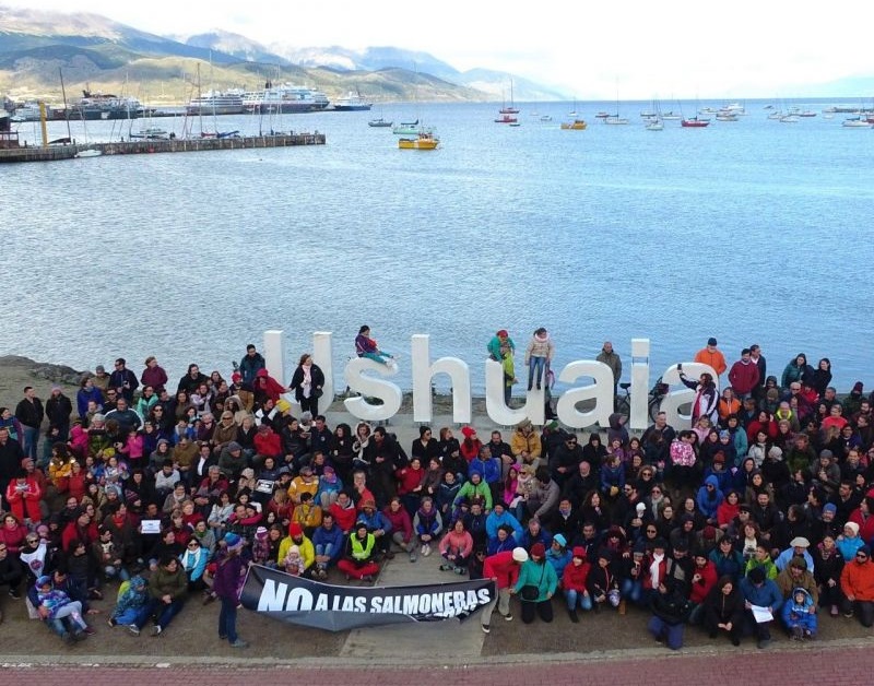 «¡No a las salmoneras británicas!”: Argentina quiere evitar que Islas Malvinas repita el ecocidio chileno