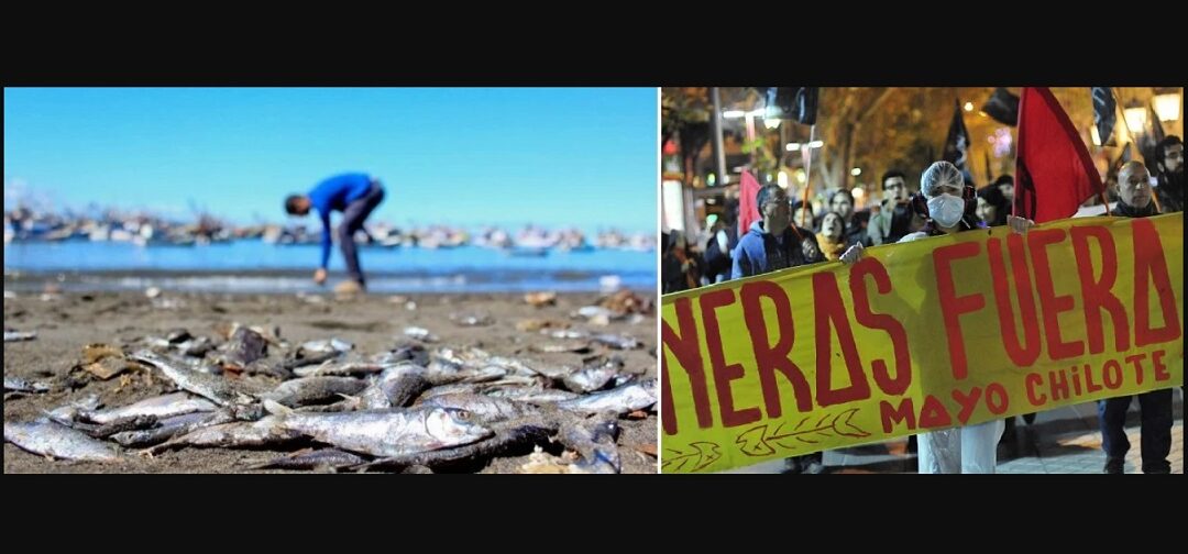 Recuerdan el “Mayo Chilote” y la catástrofe salmonera que aún espera justicia: ¿Impunidad ambiental?