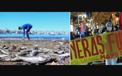 Recuerdan el “Mayo Chilote” y la catástrofe salmonera que aún espera justicia: ¿Impunidad ambiental?