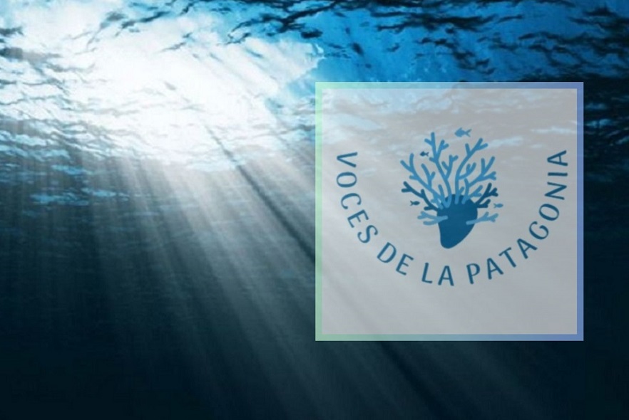 Segundo episodio de Voces de la Patagonia: «Los secretos bentónicos del fondo marino del sur del mundo»