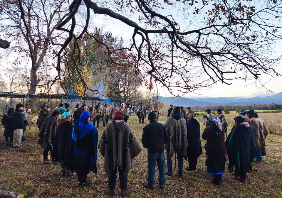 Se realiza trawün de comunidades Mapuche Pewenche de Curacautín y Lonquimay, en Lof Kilape Lopez