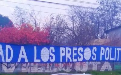 Actualización de huelga de hambre que llevan adelante los Prisioneros Políticos Mapuche de la cárcel de Angol