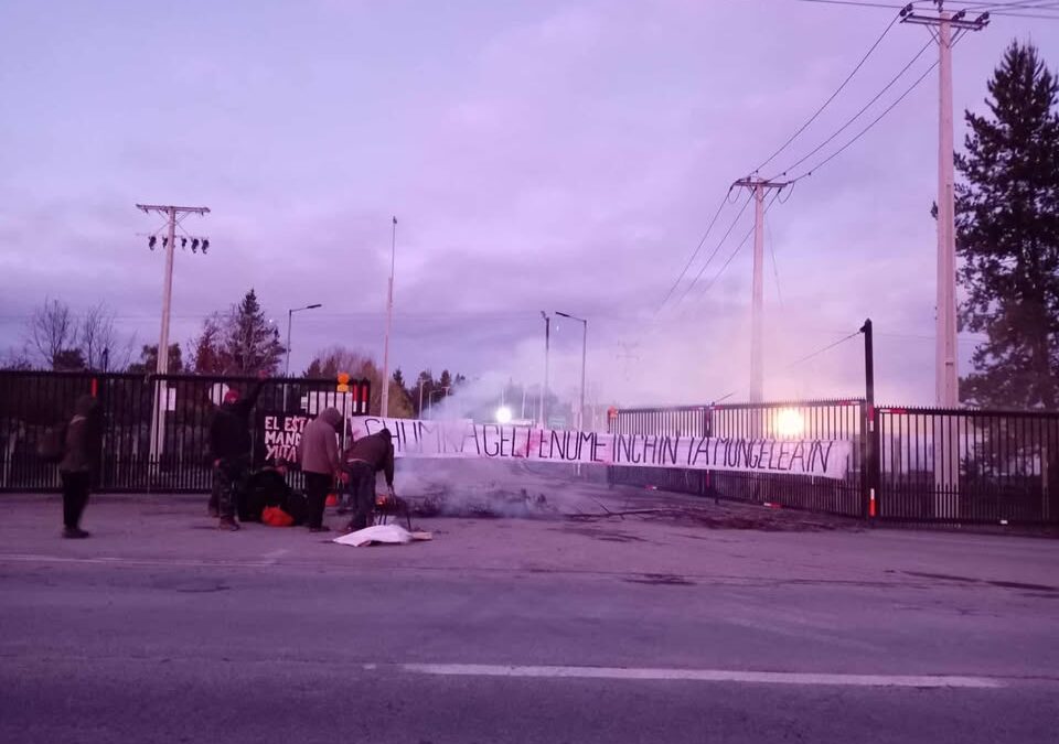 Movilización a nivel nacional por la defensa de los ríos Bíobío y Pilmaiken