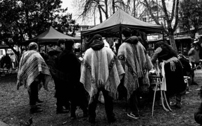 Comunicado PPM CCP Temuco «El wiñol tripantu nos reafirma con nuestra historia, nuestra espiritualidad y nuestra causa»