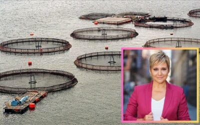 “El imperio del salmón”: Canal español devela los impactos ocultos de la industria transnacional en la Patagonia chilena