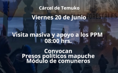 Gendarmería niega la realización de ceremonia de Wiñoltripantu en cárcel de Temuco