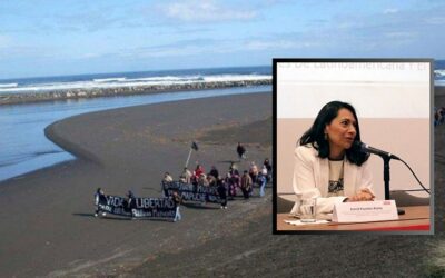 Conferencia de la ONU en Niza destaca liderazgo mapuche en protección costera: “Es un ejemplo de protección de las costas marinas”