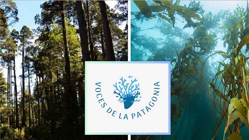 Tercer episodio del podcast Voces de la Patagonia: Pulmones del planeta en el fin del mundo, el poder oculto de los bosques azul y verde de la Patagonia