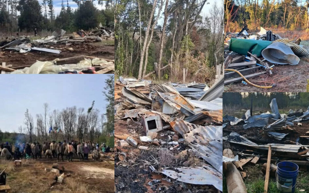 Comunicado Lof Rayen Mapu: acusa destrucción de ruka y alimentos cosechados por la comunidad
