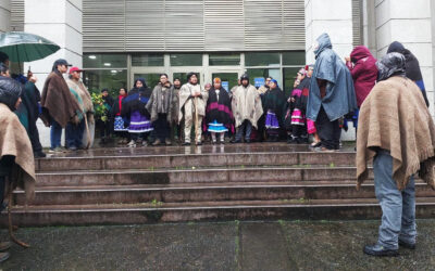 Lof Rayen Mapu presenta recurso de amparo por violento desalojo, destrucción de ruka, muerte de animales y entierro de alimentos