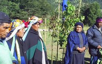 Iniciará juicio oral penal de Agrícola Forestal Las Vertientes contra 19 miembros de comunidades Mapuche de Trafun en Valdivia