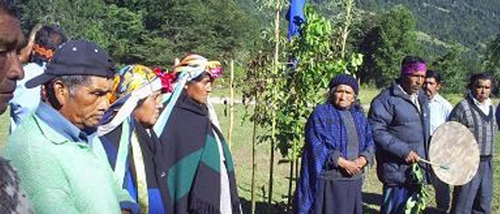Iniciará juicio oral penal de Agrícola Forestal Las Vertientes contra 19 miembros de comunidades Mapuche de Trafun en Valdivia