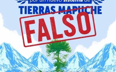 Comunicado público de comunidades territorio Vilcun sobre proceso de la consulta indígena para «nuevo sistema de tierras»