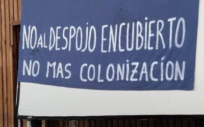 Comunicado lof Kona Rüpu Mapu (Coñaripe) declara rechazo a consulta por el Nuevo Sistema de Tierras