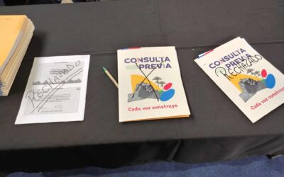 Declaración pública comunidades wenteche de Vilcún en rechazo al proceso de consulta y  propuestas de la comisión de paz y entendimiento