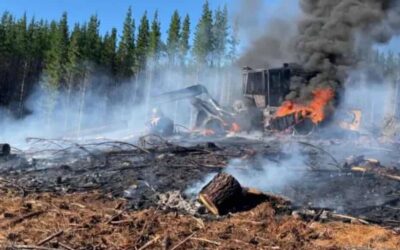 Acción de sabotaje a faena de forestal Mininco en comuna de Carahue