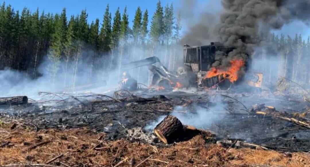 Acción de sabotaje a faena de forestal Mininco en comuna de Carahue