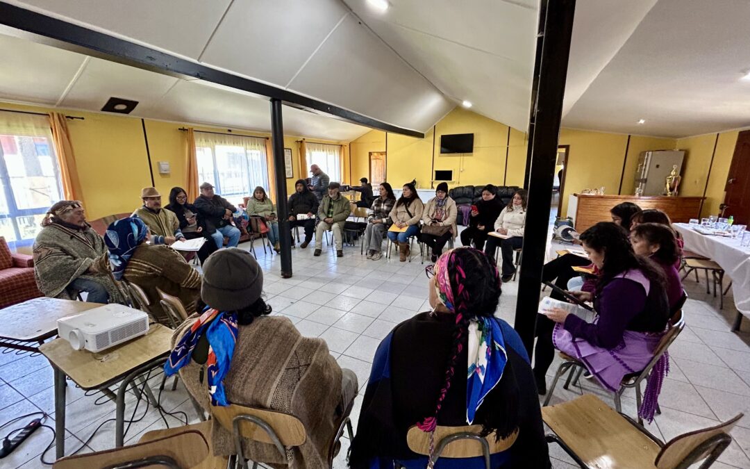 Asociaciones y comunidades Mapuche de Puerto Varas, Llanquihue y Frutillar manifestan por unanimidad el rechazo al «nuevo sistema de tierras»