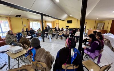 Asociaciones y comunidades Mapuche de Puerto Varas, Llanquihue y Frutillar manifestan por unanimidad el rechazo al «nuevo sistema de tierras»