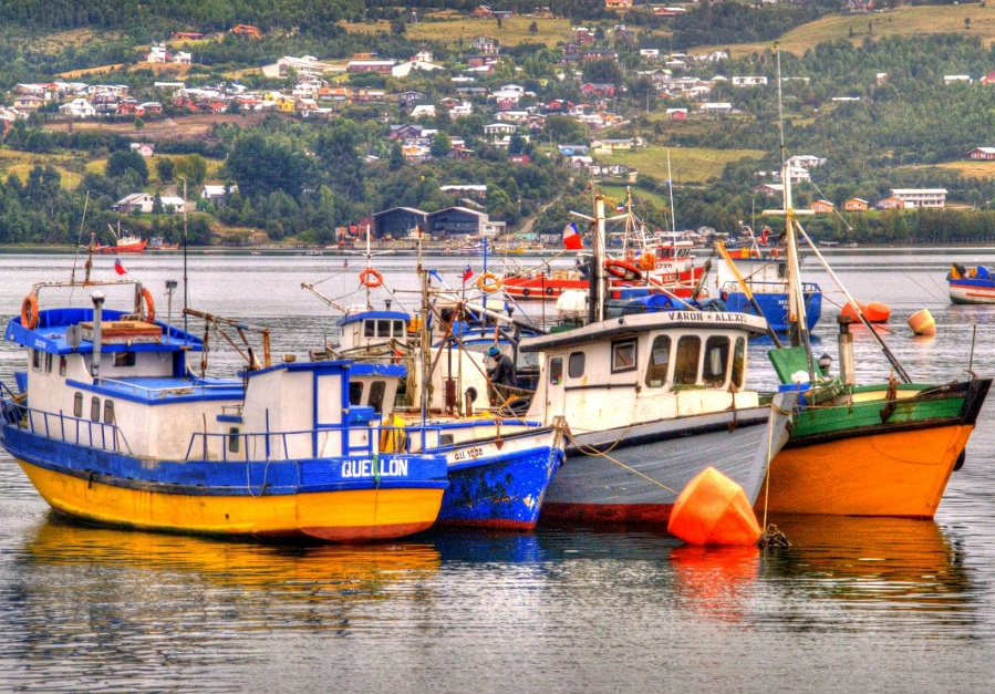 Documental «El lamento del mar»: Pescadores de Chiloé y Aysén denuncian desaparición de especies nativas por contaminación salmonera