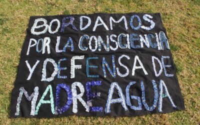 Asamblea Textil del Elqui y Arpilleristas de Angachilla en defensa del humedal Angachilla y la vida