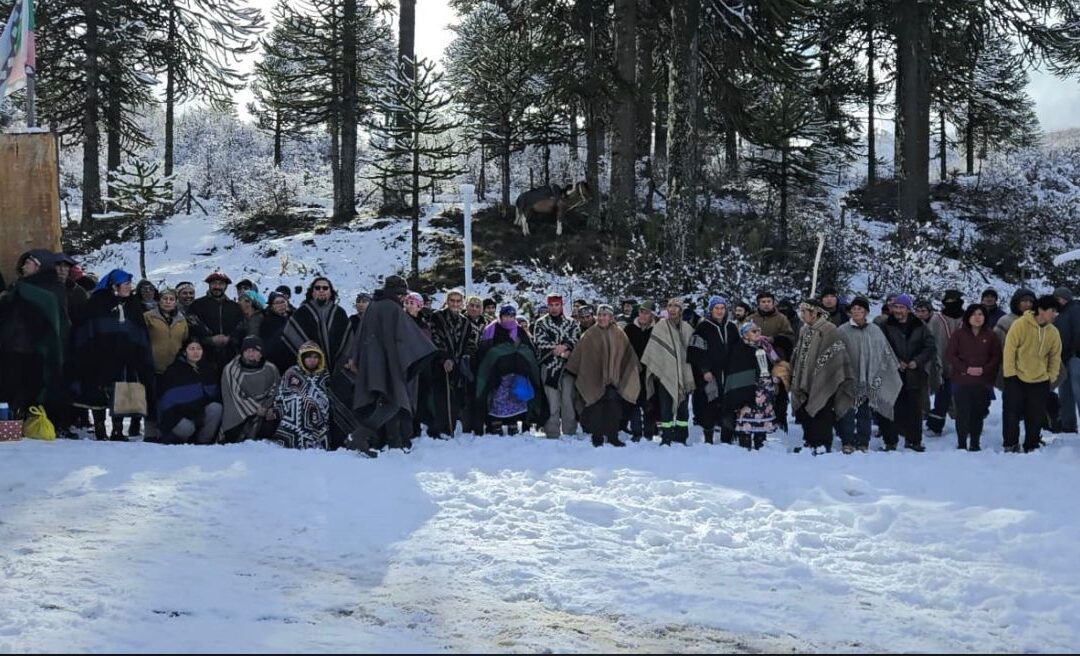 Encuentro histórico de Comunidades Pewenche: rechazan tala de Araucarias y citan a autoridades responsables