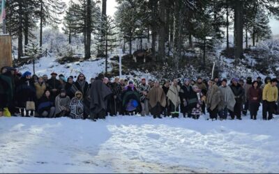 Encuentro histórico de Comunidades Pewenche: rechazan tala de Araucarias y citan a autoridades responsables