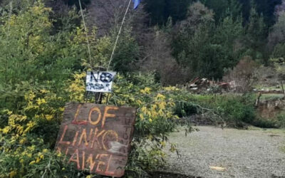 Lof Linko Nawel sufre violento desalojo, denuncia ensañamiento de carabineros y guardias privados