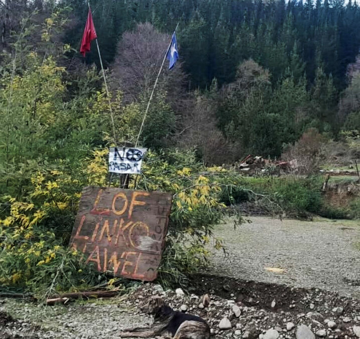Lof Linko Nawel sufre violento desalojo, denuncia ensañamiento de carabineros y guardias privados