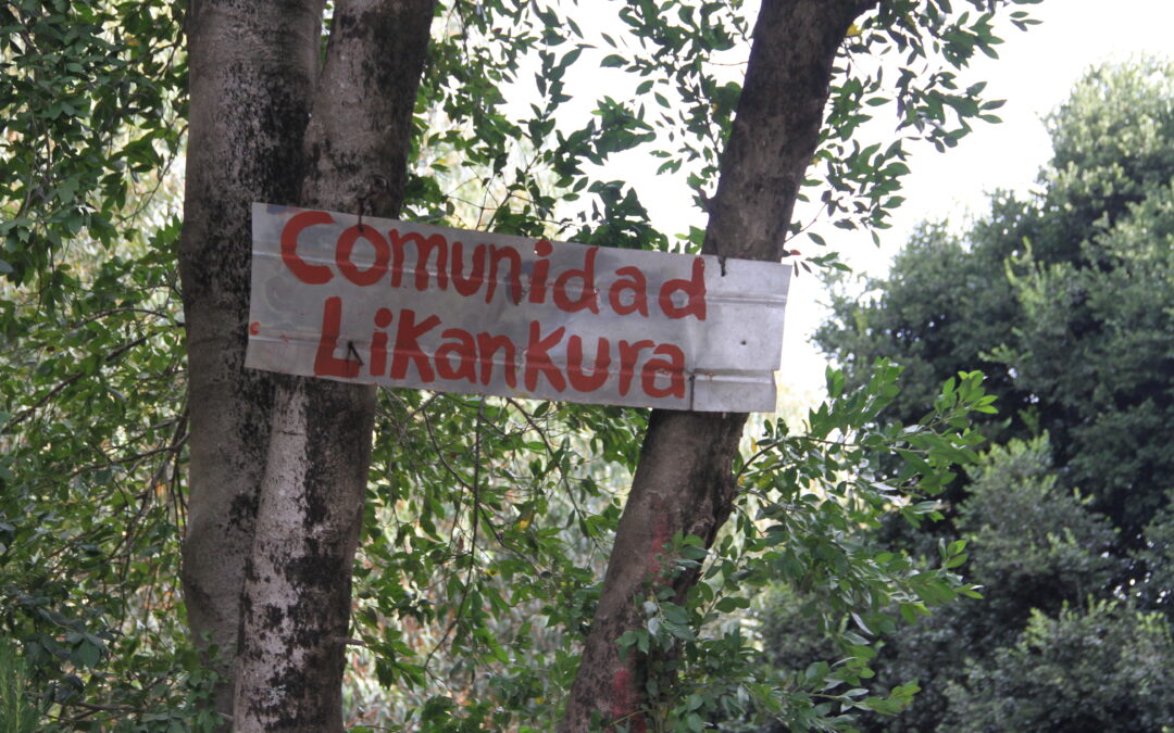 Juzgado de Mulchen dicta sobreseimiento de la querella de Forestal Mininco contra Comunidad Autónoma Likankura