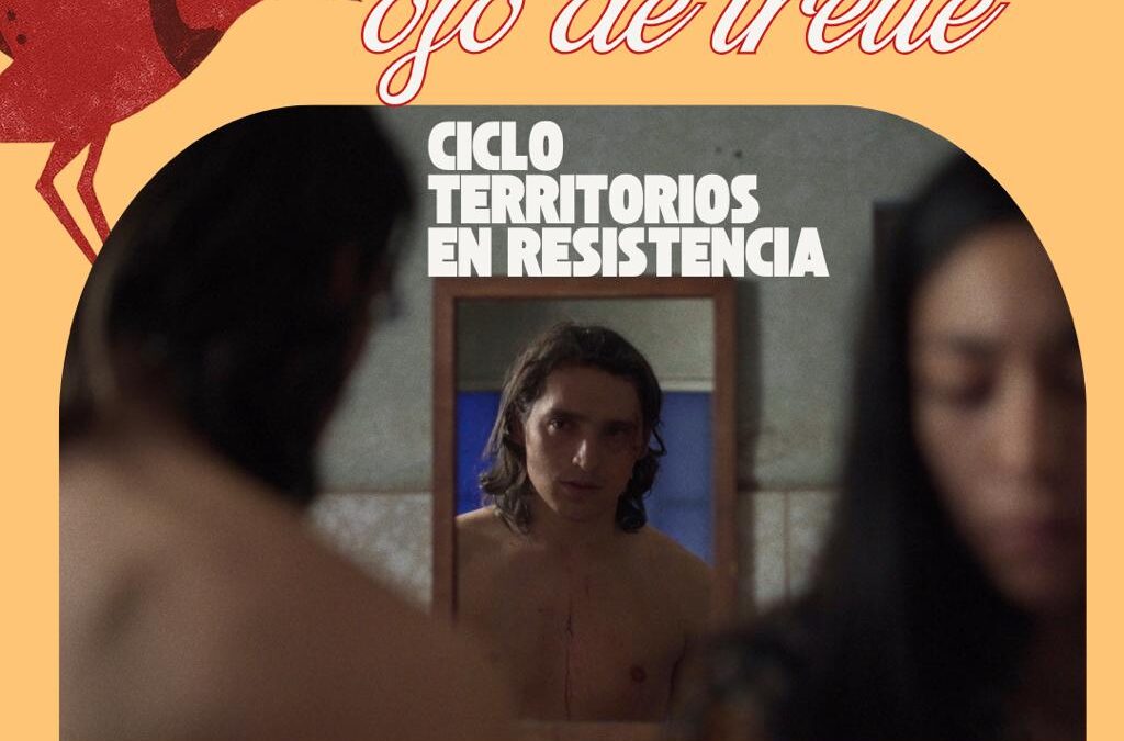 Cineclub Ojo de Treile en Pukon