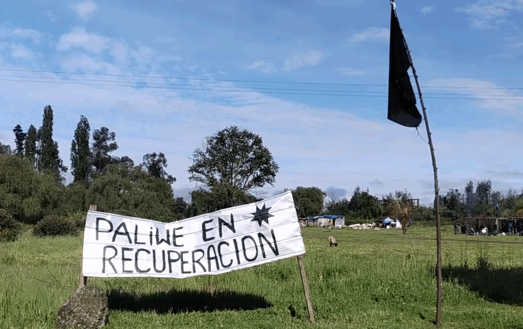 Municipio de Padre de las Casas intenta desalojar y destruir Paliwe de Hogar Mapuche Lawen Mapu