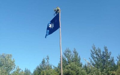 Preocupación por el hostigamiento a dirigentes de la comunidad Cacique José Navarro Melita, Provincia de Arauco