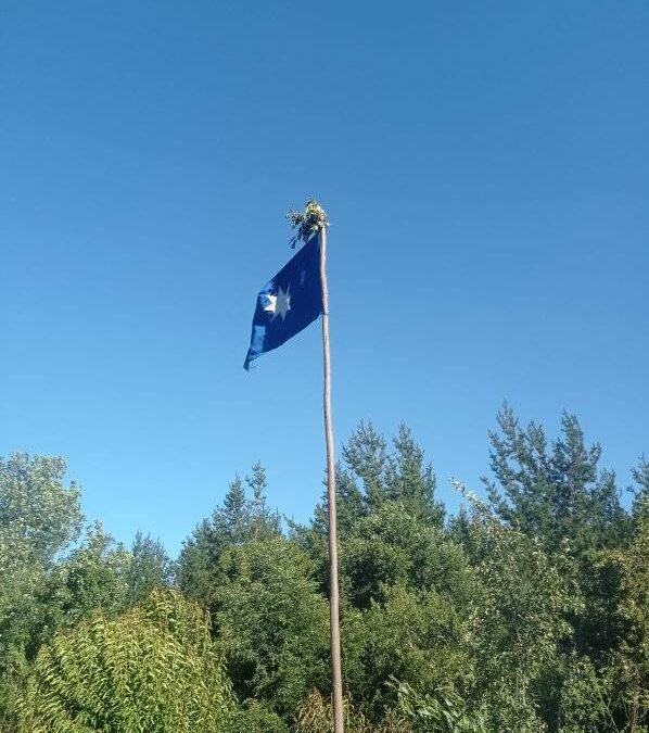 Preocupación por el hostigamiento a dirigentes de la comunidad Cacique José Navarro Melita, Provincia de Arauco