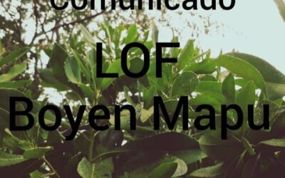 Comunicado público lof Boyen Mapu por huelga de hambre de FREDDY MARILEO