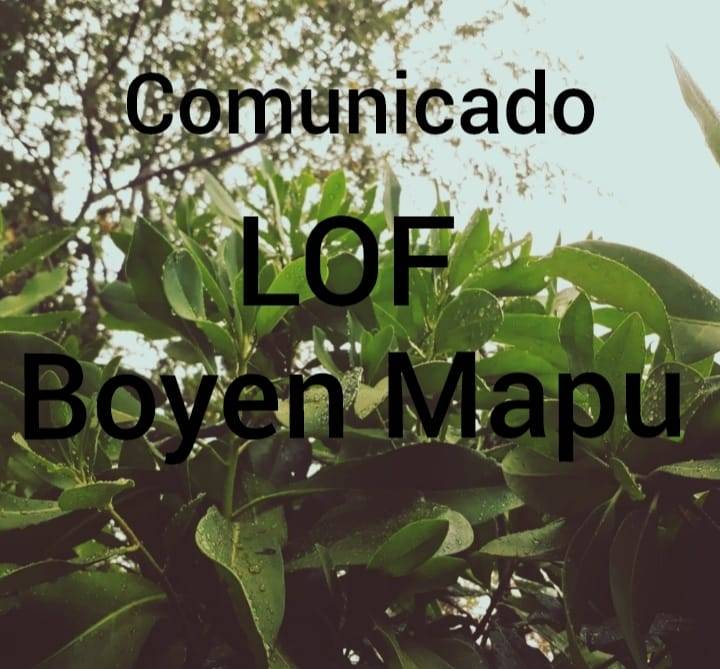 Comunicado público lof Boyen Mapu por huelga de hambre de FREDDY MARILEO