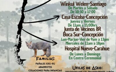 Solidaridad con Presos Políticos Mapuche: Se habilitan puntos de acopio en distintos territorios