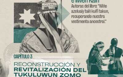 Programa Radio Cidsur «Reconstrucción y Revitalización Del Tukuluwun Zomo»