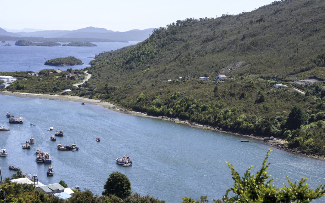CRUBC de Aysén vuelve a dar la espalda a la Ley 20.249 y a los pueblos originarios