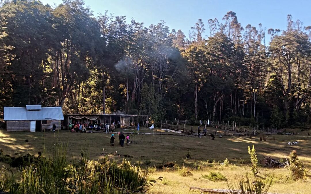 Lof Winkül Küsra reafirma recuperación territoral a través de realización de su noveno nguillatun