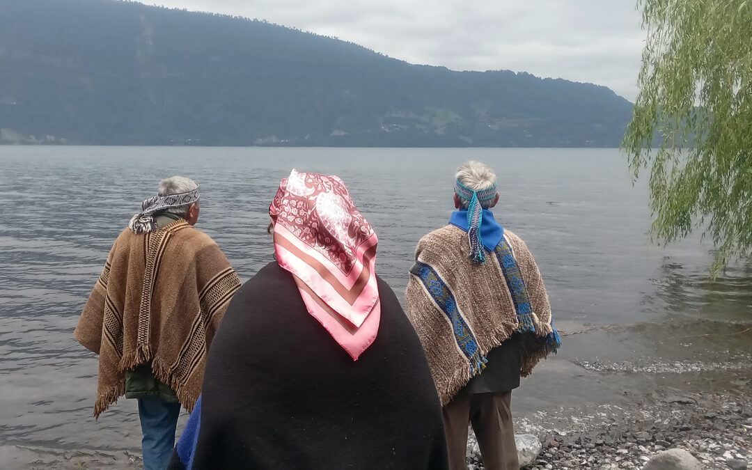 LOF DEL TERRITORIO DE PANGUIPULLI DENUNCIAN AMENAZA DE DESALOJO Y EXIGEN RESPETO A DERECHOS MAPUCHE