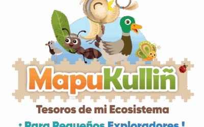 Con videojuegos y contenido didáctico intercultural invitan a que estudiantes de La Araucanía conozcan flora y fauna nativa