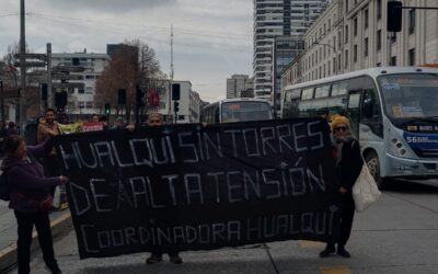 Organizaciones y vecinos de tres regiones presentan recursos ante el Tribunal Ambiental para anular la aprobación de mega carretera eléctrica