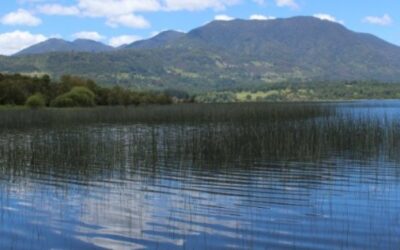 Panguipulli: organizaciones del territorio piden claridad al municipio por fallo judicial que anularía ordenanza de humedales rurales