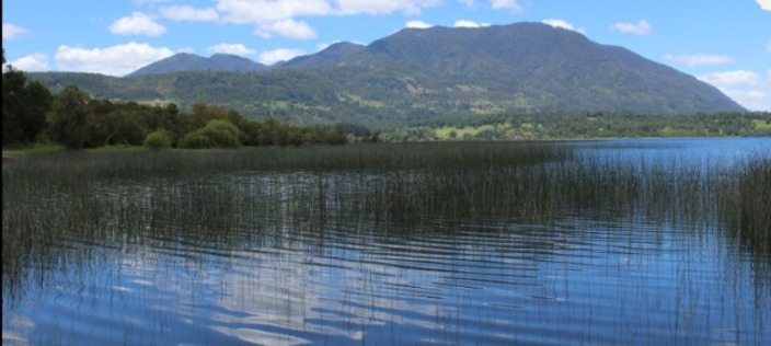Panguipulli: organizaciones del territorio piden claridad al municipio por fallo judicial que anularía ordenanza de humedales rurales