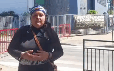 Sin pruebas respecto a acusación como autor intelectual de ataque incendiario, avanza juicio contra el Werkén Rafael Pichun